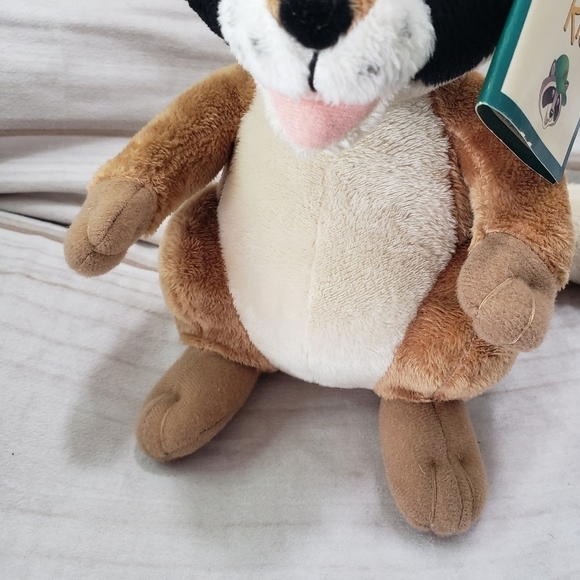 Ranger Rick Raccoon 8" Plush Stuffed Animal Vintage 1994 With Tag Embroidered - Picture 3 of 10